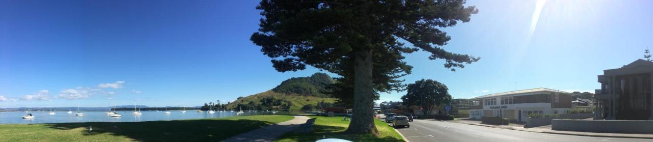 Westhaven Motel Tauranga Exterior photo